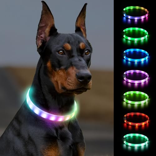 Light-Up LED Dog Collar — USB-C Rechargeable, Cut-to-Fit, 7 Colors (Up to 27.5