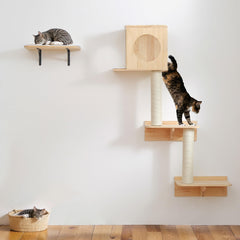 Wall-Mounted Cat Climbing Shelves with House & Scratching Posts