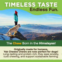 Gold Yak Cheese Chews for Small Dogs (15-25 lb) - Small 3-4" Sticks