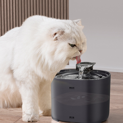 Automatic Cat Water Fountain, 2.2L Filtered Circulating Pet Drinking Dispenser